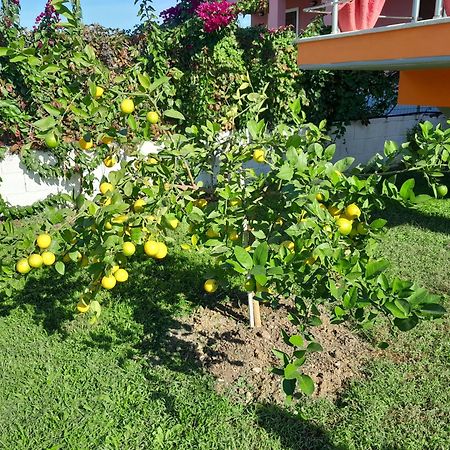 Villa Orange Vlorë Habitación foto